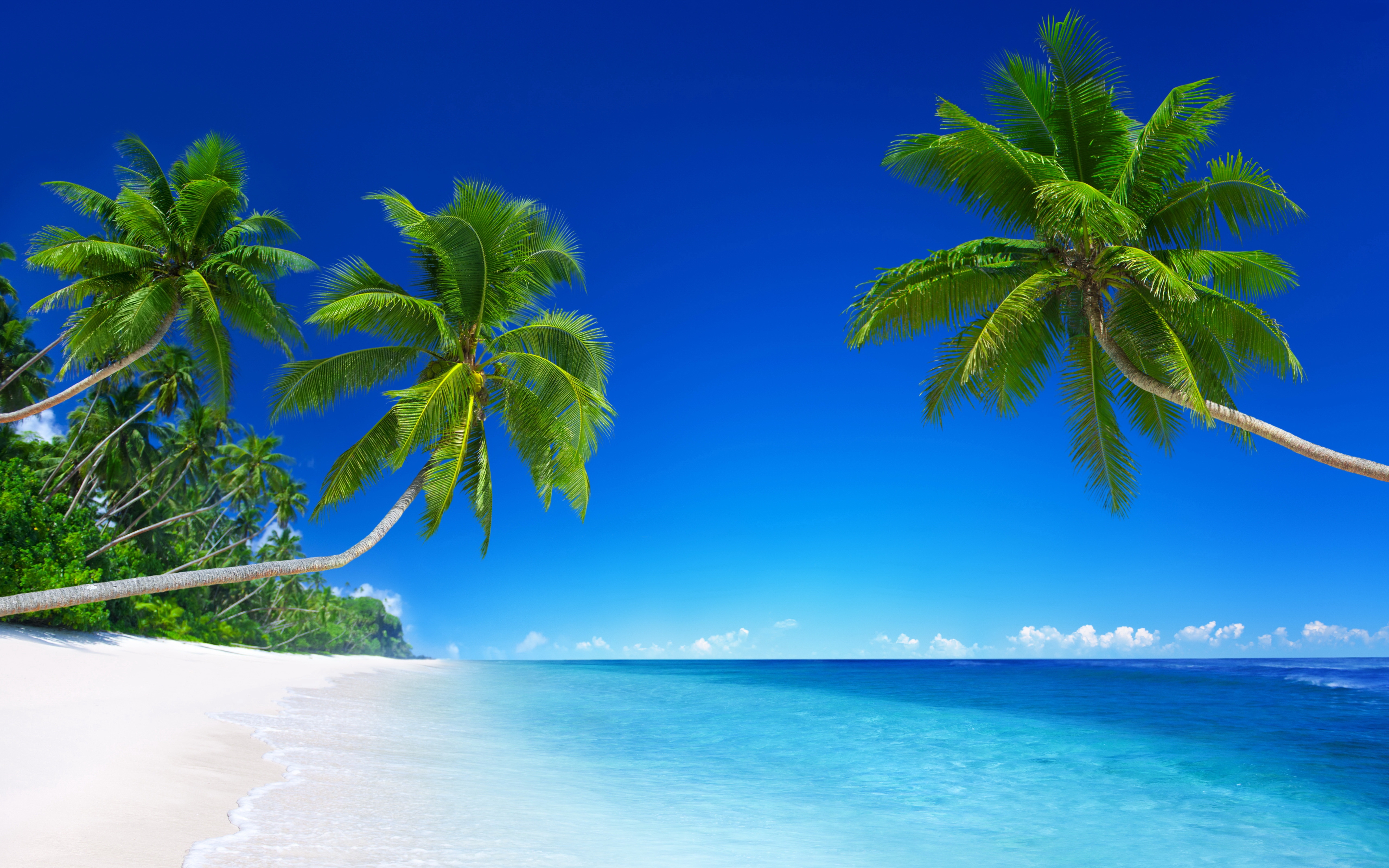 Tropical Beach Paradise 5K93191695 - Tropical Beach Paradise 5K - Tropical, Paradise, Beach